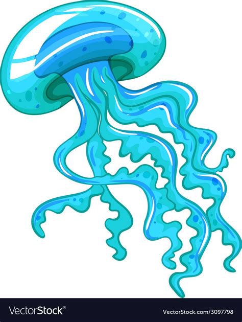 jelly fish illustration