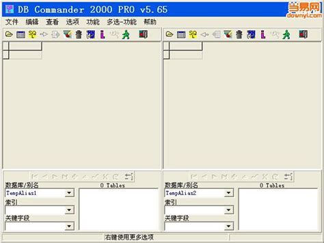 dbc2000数据库下载-DB Commander 2000 pro下载v6.8 特别版-当易网