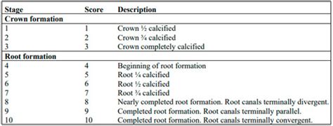Dental Age Assessment Based on Developmental Stages and Maturity Index ...