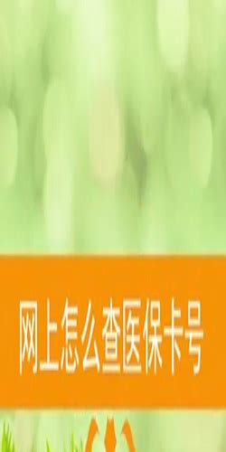 支付宝电子社保卡怎么查余额？电子社保卡余额查询教程 - 系统之家