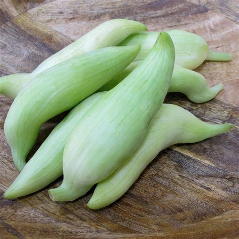 African Horned Cucumber (Cucumis metuliferus) seeds