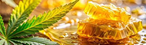 10 Vegan Beeswax Alternatives for Skincare & Cosmetics - Alphawax