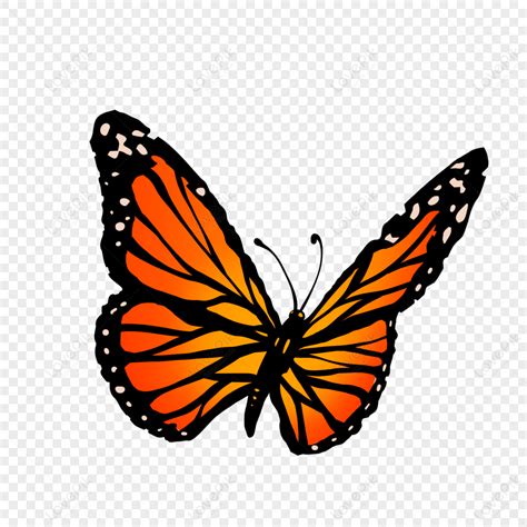Cartoon Orange Monarch Butterfly Clipart,cartoon Style,gradient,light ...
