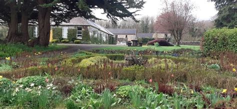 Easter Tridium Services, Ladies Brae, Skreen, Ireland F91CA24, Sligo ...