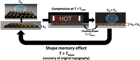 Polymeric Shape-Memory Micro-Patterned Surface for Switching ...