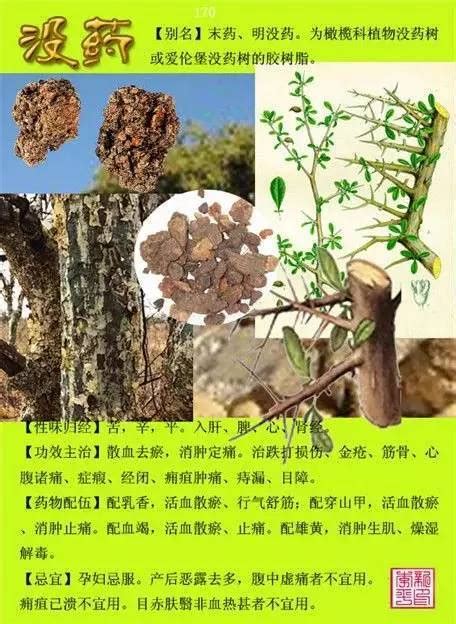 常用中草药彩色图鉴 (Illustrated Handbook of the Commonly Used Chinese Medicinal ...