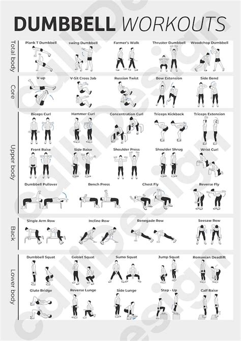All Types of Exercise 的图像结果
