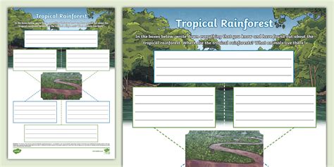 Tropical Rainforest Mind Map