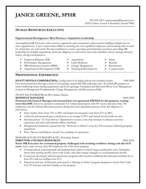24 Best Sample Executive Resume Templates - Wisestep