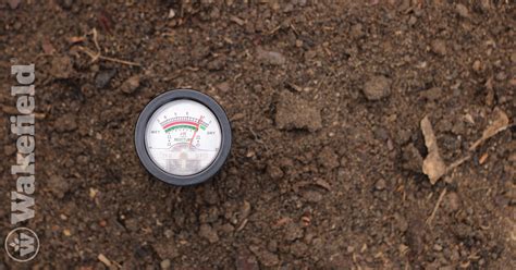 Does Biochar Raise Soil pH? - Wakefield BioChar