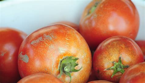 Downtown Ogden, Utah, 2014