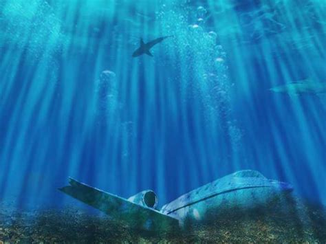 Exploring The Bermuda Triangle'S Japanese Counterpart