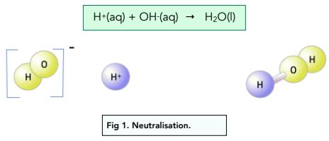 Image result for Neutralisation Reactions