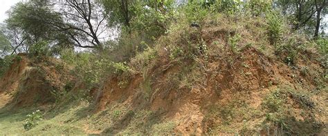 Archaeological Survey of India