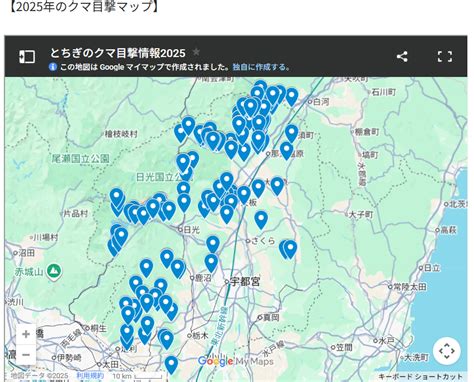 Image result for Bbolean Python If Statement