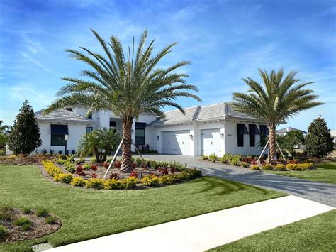 Importance of date palms for UAE - Date Palm Trees
