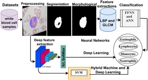 Deep and Hybrid Learning Techniques for Diagnosing Microscopic Blood ...