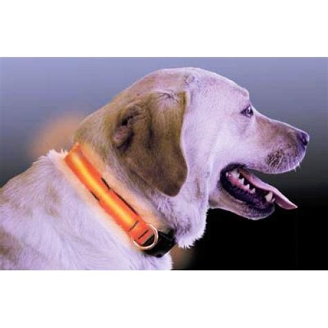 LED Pet Lights - LED Dog collars, LED Dog Pendants, Lockets, Collars ...