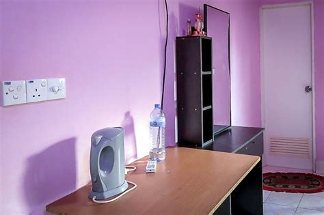 Image result for Coding Python Homestay