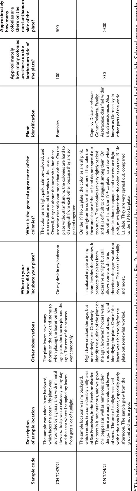 Metadata Examples 的图像结果