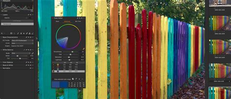 Image result for Capture One Pro 21 Tutorials