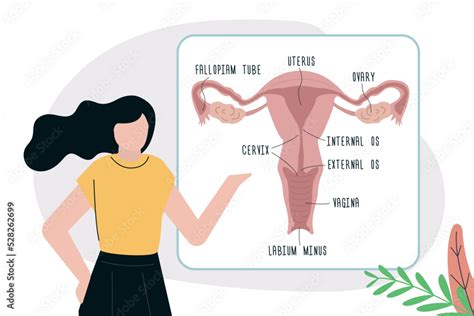 generate a vagina image