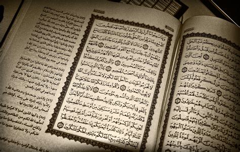 Image result for Bible Study Tutorials