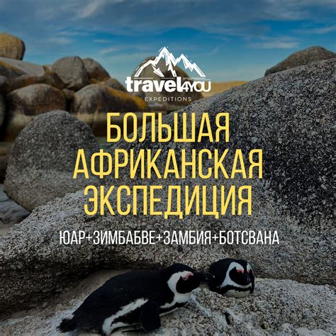 Большой тур по Африке 2025-2026 с ценами | путешествие от Travel4you