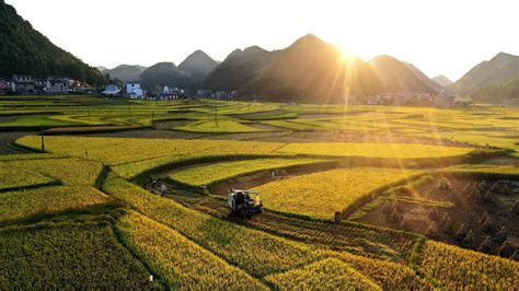 收获，在希望的田野上——写在2021年中国农民丰收节_新华社