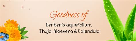 Sunny Herbals Derm Aid Soap For Rashes and Infection Free Skin ...