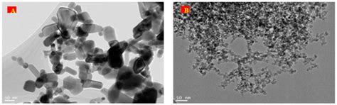 Effects of Zinc Oxide and Silicon Dioxide Nanoparticles on ...