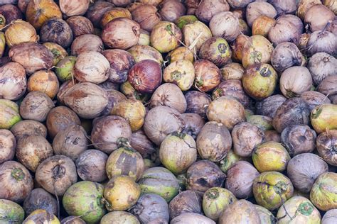 Pile of many coconuts background 24265552 Stock Photo at Vecteezy