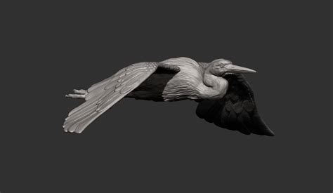 STL file Heron flies 3D print model 🐦・Model to download and 3D print・Cults