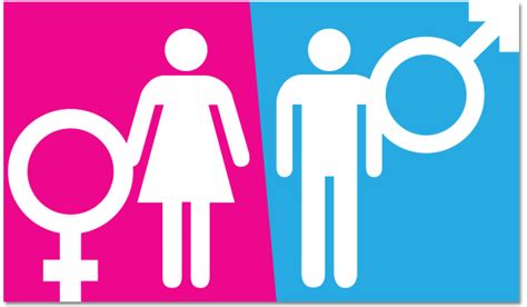 Name Verification & Gender Determination