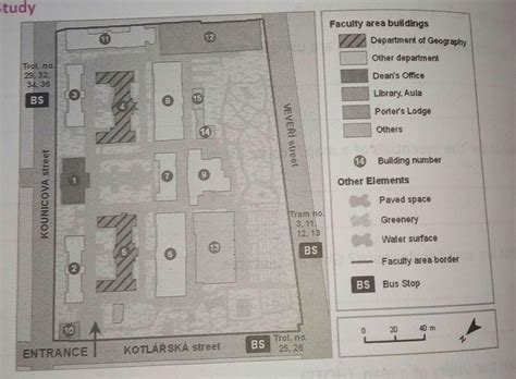 1. What do you see in the picture given - Brainly.in