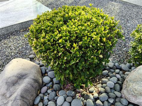 Oppo F29 Pro review: A tough and reliable phone - India Today