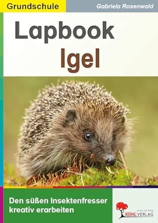 Amazon.in: Buy Lapbook Igel Book Online at Low Prices in India ...