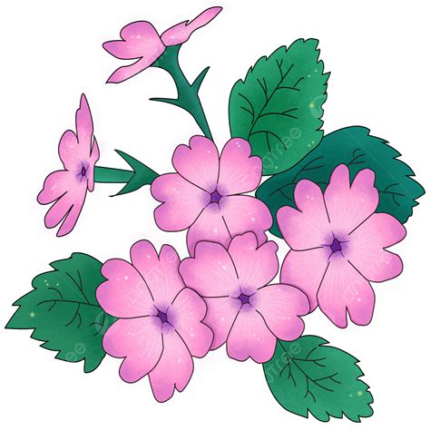 Primrose Clipart Vector, Primrose Tail, Summer, Summer Day, Flowers PNG ...