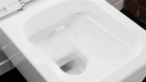 EluPura rimless toilets