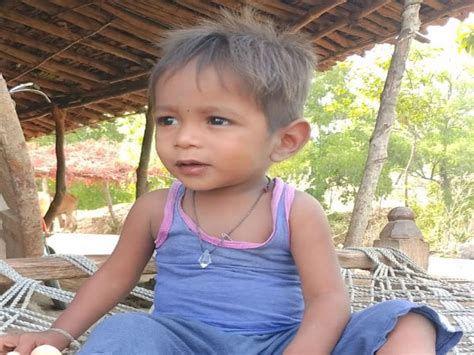 2-year-old innocent girl mauled by 3 dogs in Gana village of Manavadar ...