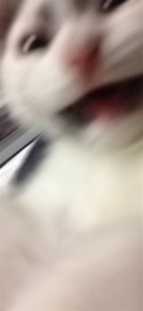 Free pfp 🍓🎧 - video template by CapCut