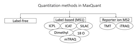 Image result for Open Search with MaxQuant Tutorial