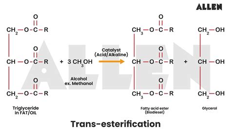 What Is An Ester: Formation, Properties & Importance