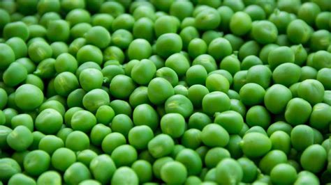 Unlocking the power of pea protein: A plant-based superfood