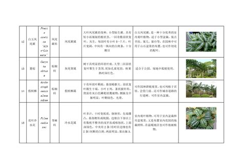 100种 常用园林植物 - 植物识别 - 景观设计网 - Powered by Discuz!