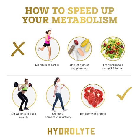 Nutrients That Speed Up Metabolism at Layla Helms blog