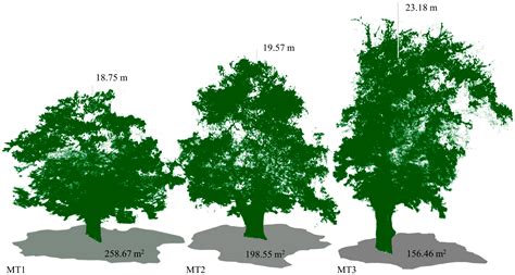Geomatic Data Fusion for 3D Tree Modeling: The Case Study of Monumental ...