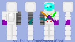 Image result for Skin in MC Java