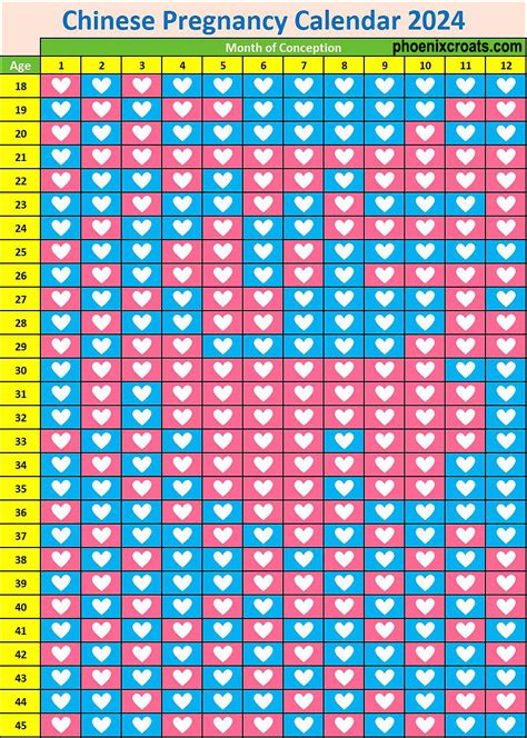 Baby Gender Calendar 2024 - Printable Word Searches