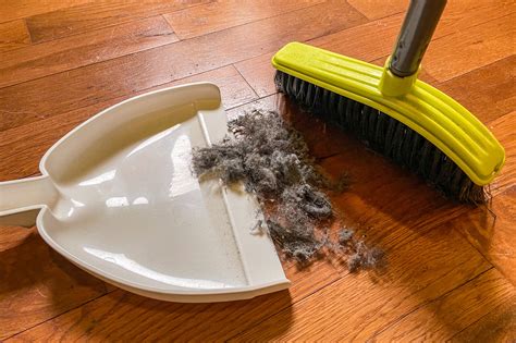How To Get Dust Off Hardwood Floor | Floor Roma